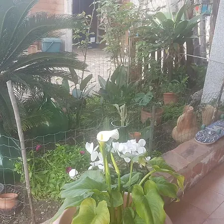 Lejlighed La Tua Mansarda In Sardegna *